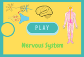 Nervous System Game Quiz Online